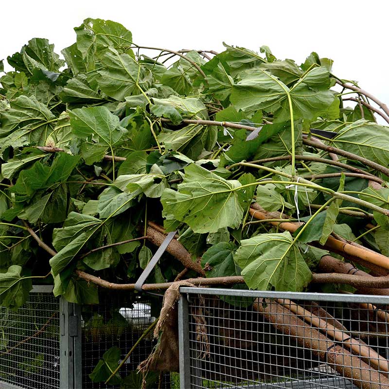 1'' X 15' gummibelagt håndtag skralderem med vinylbelagte trådkroge